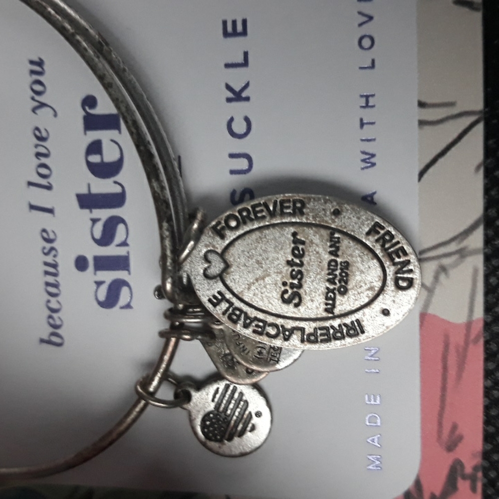 Alex And Ani charm bracelet - Picture 3 of 7